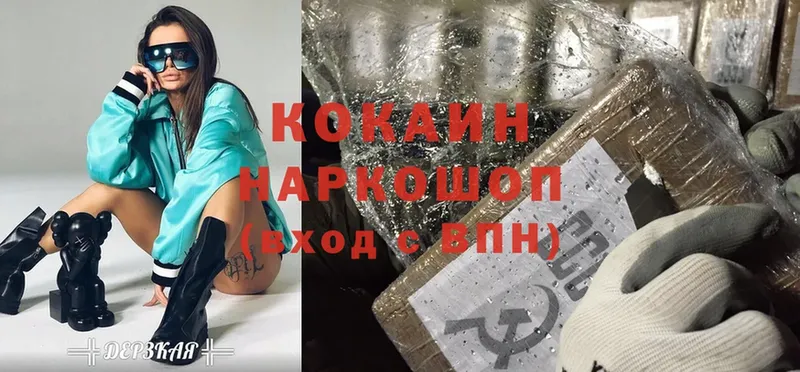 Cocaine FishScale  цены   Нефтекумск 